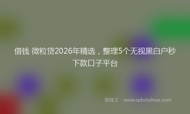 借钱 微粒贷2026年精选，整理5个无视黑白户秒下款口子平台