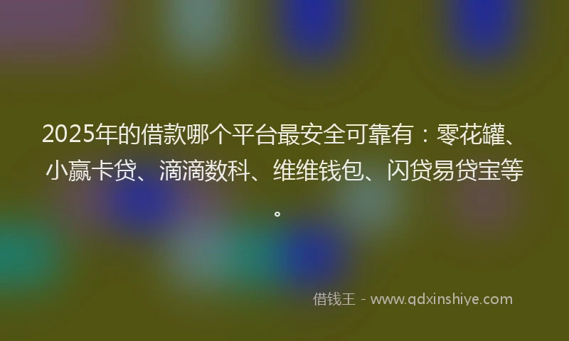2025年的借款哪个平台最安全可靠有:零花罐、小赢卡贷、滴滴数科、维维钱包、闪贷易贷宝等。