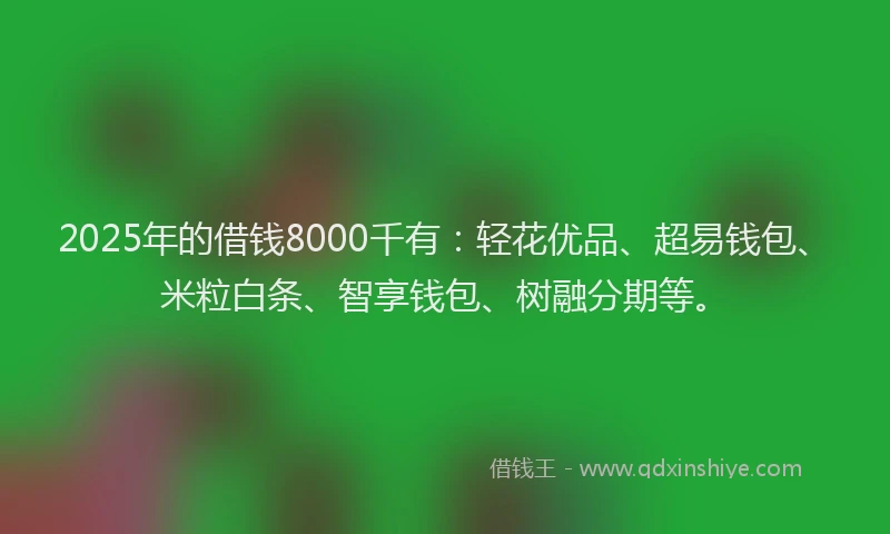 2025年的借钱8000千有：轻花优品、超易钱包、米粒白条、智享钱包、树融分期等。