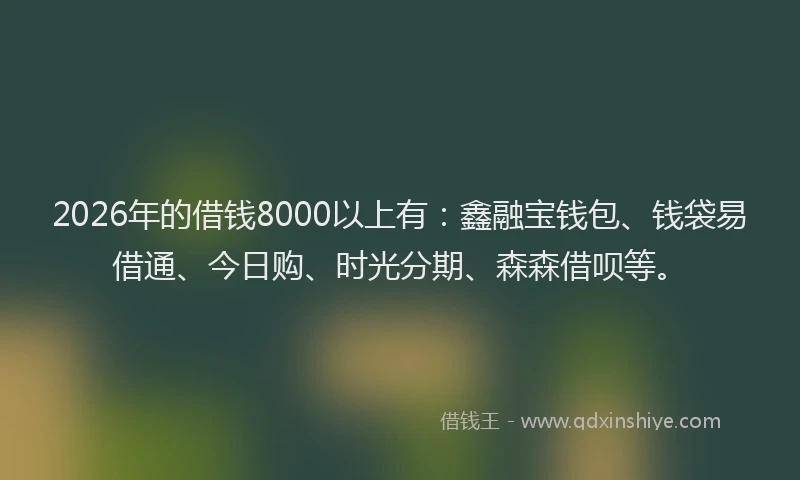 2026年的借钱8000以上有:鑫融宝钱包、钱袋易借通、今日购、时光分期、森森借呗等。