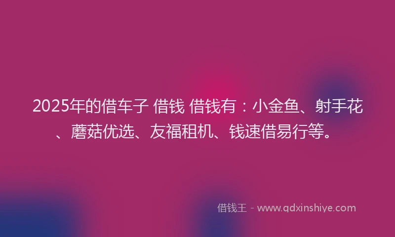 2025年的借车子 借钱 借钱有：小金鱼、射手花、蘑菇优选、友福租机、钱速借易行等。