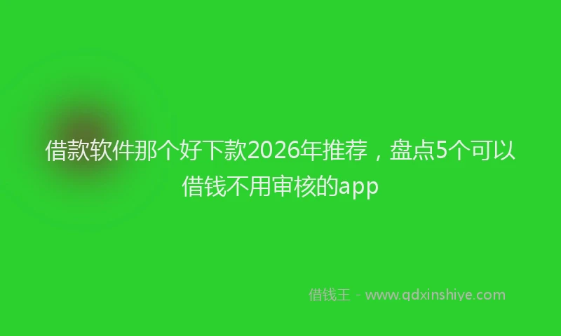 借款软件那个好下款2026年推荐，盘点5个可以借钱不用审核的app