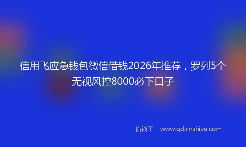 信用飞应急钱包微信借钱2026年推荐，罗列5个无视风控8000必下口子