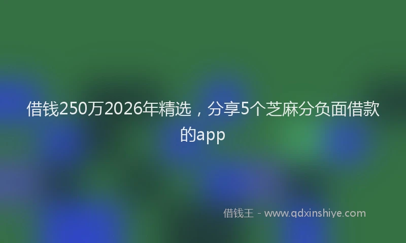 借钱250万2026年精选，分享5个芝麻分负面借款的app