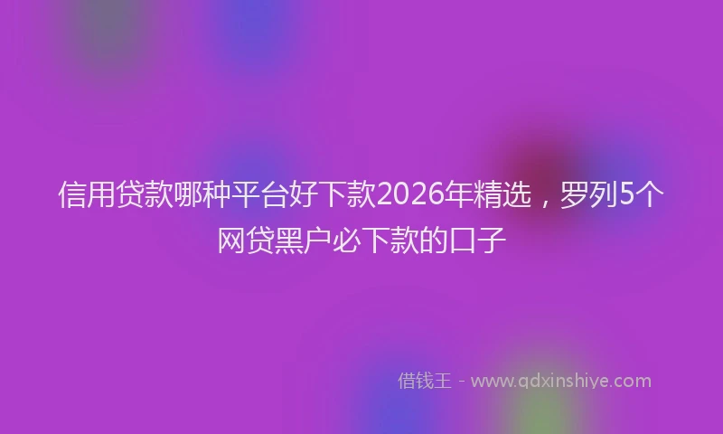 信用贷款哪种平台好下款2026年精选，罗列5个网贷黑户必下款的口子