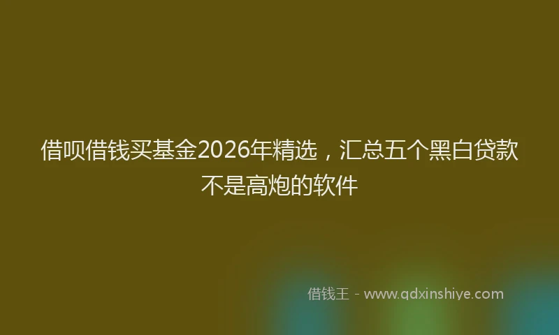 借呗借钱买基金2026年精选,汇总五个黑白贷款不是高炮的软件