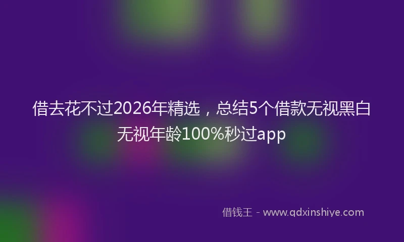 借去花不过2026年精选，总结5个借款无视黑白无视年龄100%秒过app