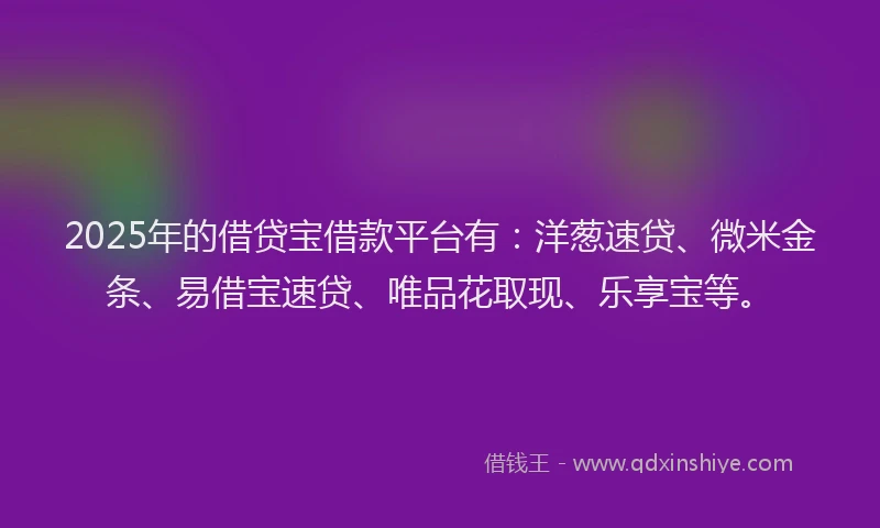 2025年的借贷宝借款平台有:洋葱速贷、微米金条、易借宝速贷、唯品花取现、乐享宝等。