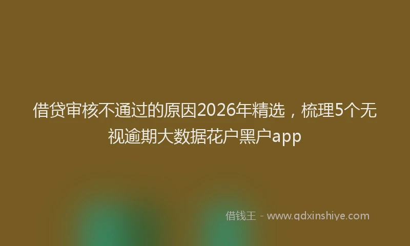 借贷审核不通过的原因2026年精选，梳理5个无视逾期大数据花户黑户app