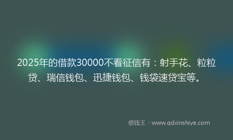 2025年的借款30000不看征信有：射手花、粒粒贷、瑞信钱包、迅捷钱包、钱袋速贷宝等。
