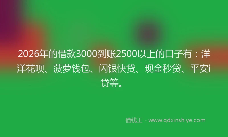 2026年的借款3000到账2500以上的口子有：洋洋花呗、菠萝钱包、闪银快贷、现金秒贷、平安i贷等。