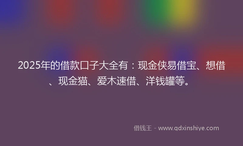 2025年的借款口子大全有：现金侠易借宝、想借、现金猫、爱木速借、洋钱罐等。