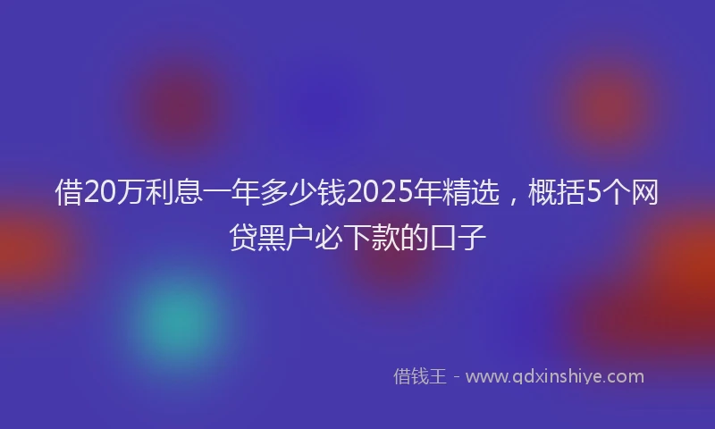 借20万利息一年多少钱2025年精选,概括5个网贷黑户必下款的口子