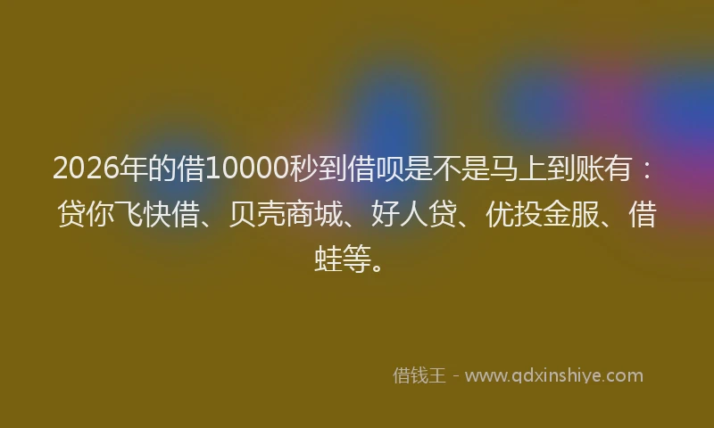 2026年的借10000秒到借呗是不是马上到账有:贷你飞快借、贝壳商城、好人贷、优投金服、借蛙等。