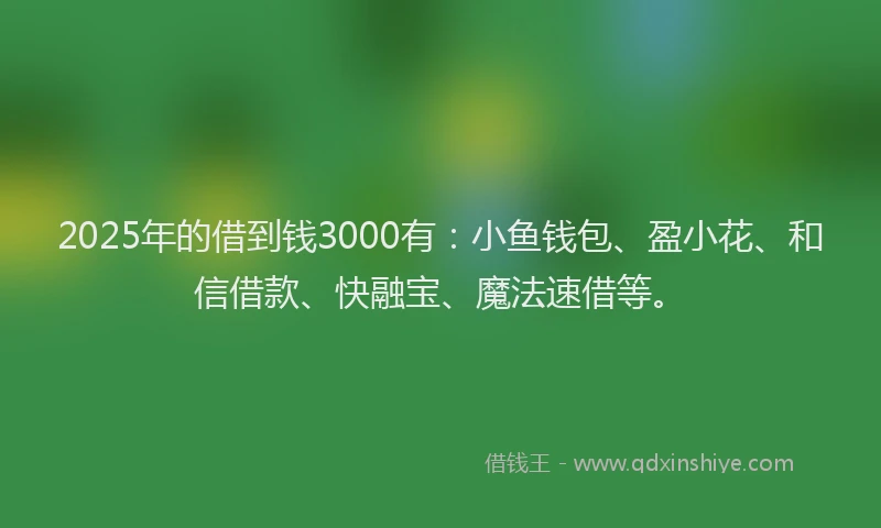 2025年的借到钱3000有：小鱼钱包、盈小花、和信借款、快融宝、魔法速借等。