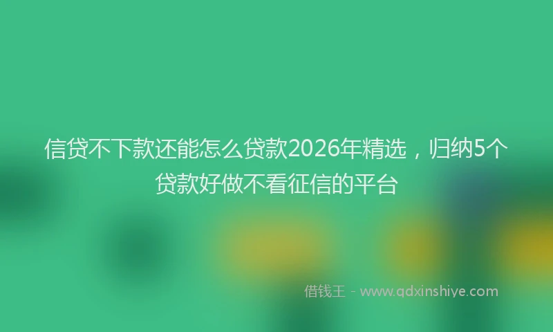 信贷不下款还能怎么贷款2026年精选，归纳5个贷款好做不看征信的平台
