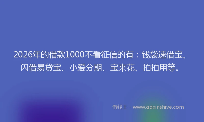 2026年的借款1000不看征信的有:钱袋速借宝、闪借易贷宝、小爱分期、宝来花、拍拍用等。