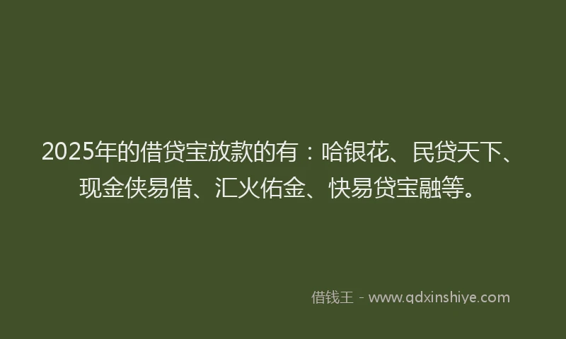 2025年的借贷宝放款的有：哈银花、民贷天下、现金侠易借、汇火佑金、快易贷宝融等。