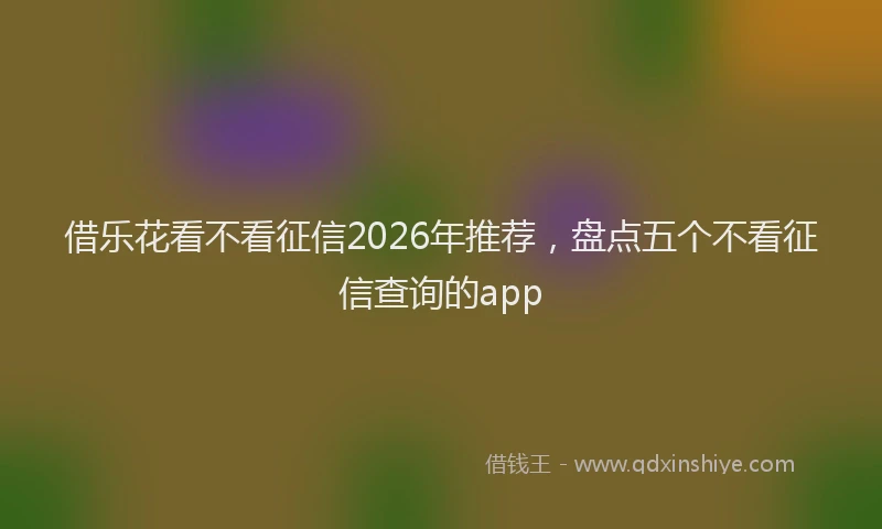 借乐花看不看征信2026年推荐，盘点五个不看征信查询的app