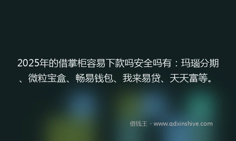 2025年的借掌柜容易下款吗安全吗有:玛瑙分期、微粒宝盒、畅易钱包、我来易贷、天天富等。