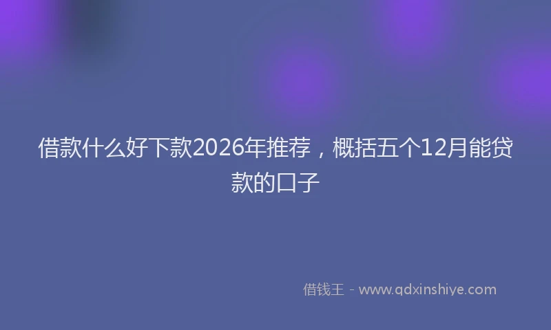 借款什么好下款2026年推荐，概括五个12月能贷款的口子