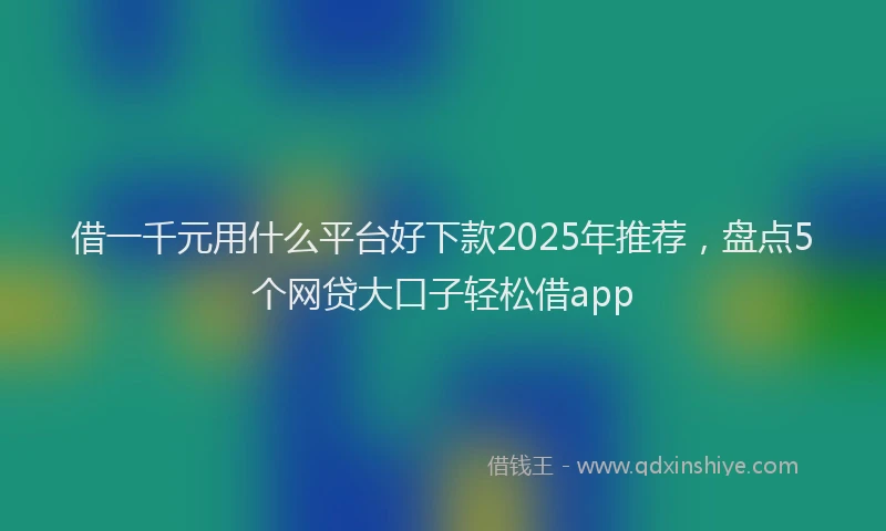 借一千元用什么平台好下款2025年推荐，盘点5个网贷大口子轻松借app
