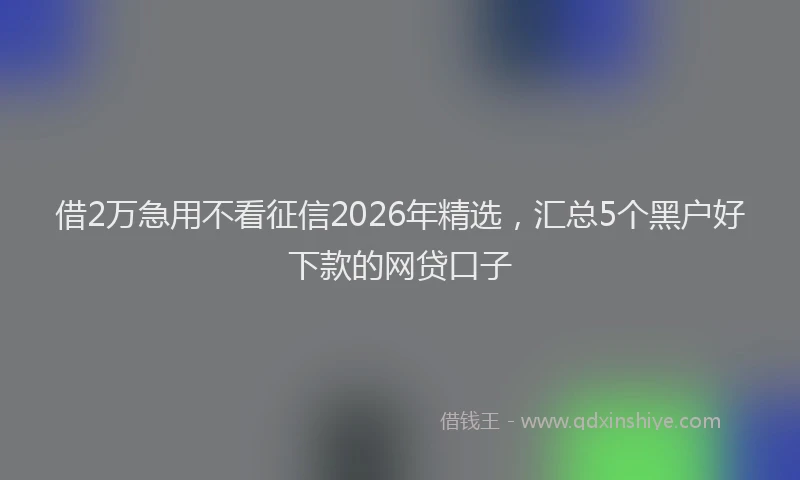借2万急用不看征信2026年精选，汇总5个黑户好下款的网贷口子