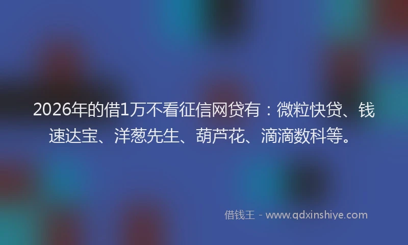 2026年的借1万不看征信网贷有：微粒快贷、钱速达宝、洋葱先生、葫芦花、滴滴数科等。