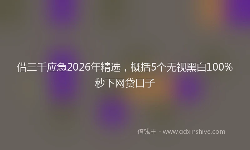 借三千应急2026年精选，概括5个无视黑白100%秒下网贷口子
