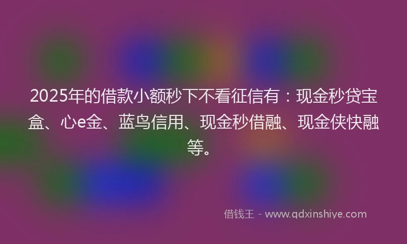 2025年的借款小额秒下不看征信有：现金秒贷宝盒、心e金、蓝鸟信用、现金秒借融、现金侠快融等。