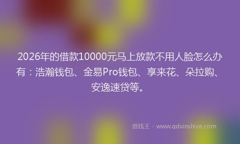 2026年的借款10000元马上放款不用人脸怎么办有：浩瀚钱包、金易Pro钱包、享来花、朵拉购、安逸速贷等。