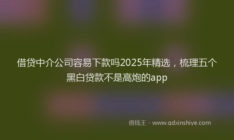 借贷中介公司容易下款吗2025年精选，梳理五个黑白贷款不是高炮的app