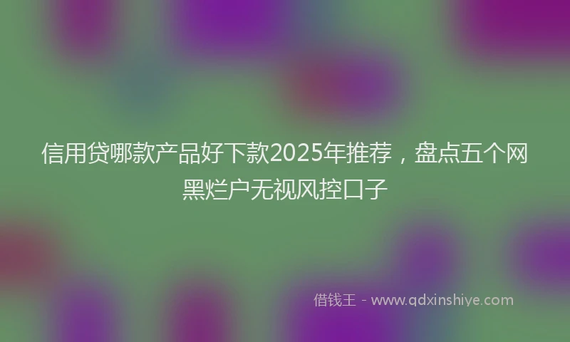 信用贷哪款产品好下款2025年推荐，盘点五个网黑烂户无视风控口子