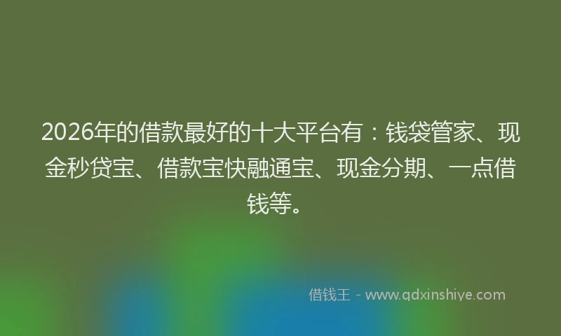 2026年的借款最好的十大平台有：钱袋管家、现金秒贷宝、借款宝快融通宝、现金分期、一点借钱等。