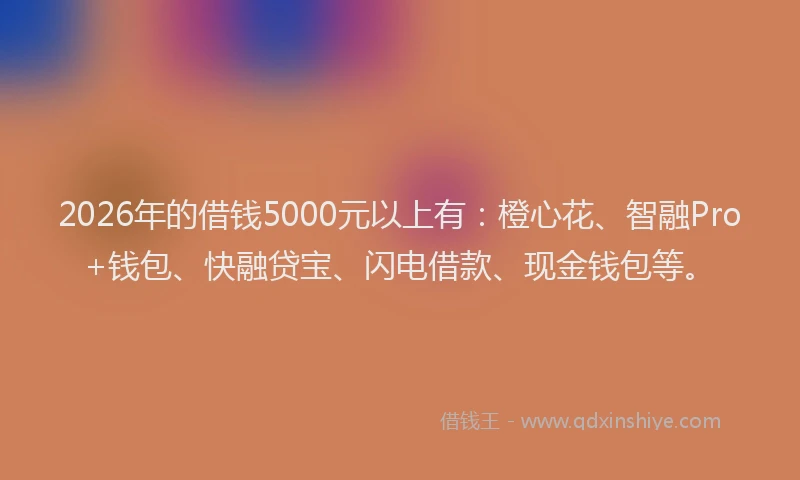 2026年的借钱5000元以上有：橙心花、智融Pro+钱包、快融贷宝、闪电借款、现金钱包等。