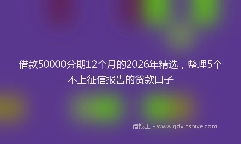 借款50000分期12个月的2026年精选，整理5个不上征信报告的贷款口子