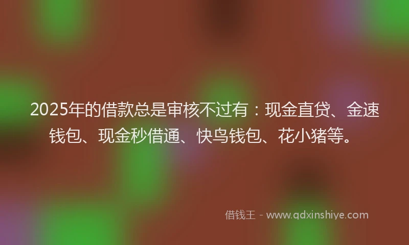 2025年的借款总是审核不过有:现金直贷、金速钱包、现金秒借通、快鸟钱包、花小猪等。