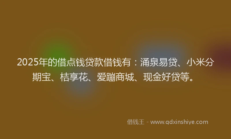 2025年的借点钱贷款借钱有：涌泉易贷、小米分期宝、桔享花、爱蹦商城、现金好贷等。
