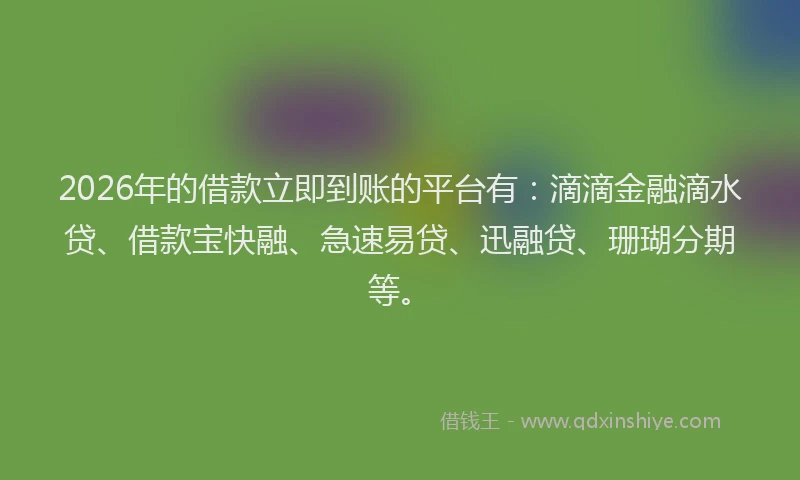 2026年的借款立即到账的平台有:滴滴金融滴水贷、借款宝快融、急速易贷、迅融贷、珊瑚分期等。