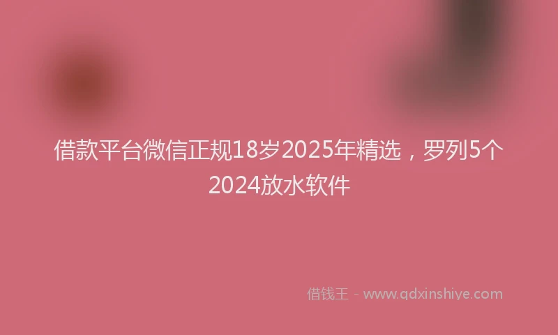 借款平台微信正规18岁2025年精选，罗列5个2024放水软件