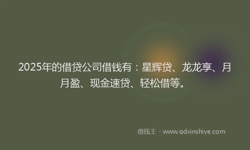 2025年的借贷公司借钱有:星辉贷、龙龙享、月月盈、现金速贷、轻松借等。