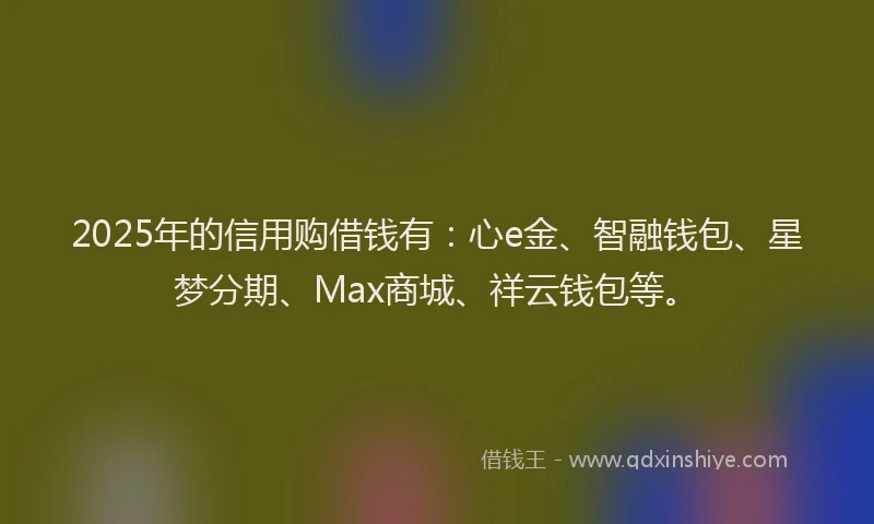 2025年的信用购借钱有：心e金、智融钱包、星梦分期、Max商城、祥云钱包等。