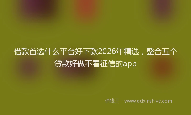 借款首选什么平台好下款2026年精选,整合五个贷款好做不看征信的app
