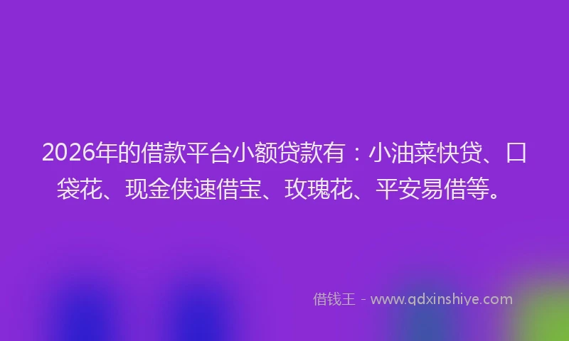 2026年的借款平台小额贷款有：小油菜快贷、口袋花、现金侠速借宝、玫瑰花、平安易借等。
