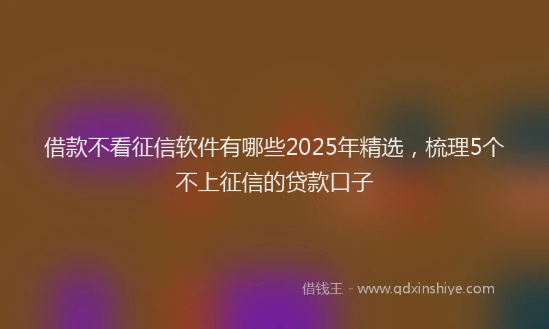借款不看征信软件有哪些2025年精选，梳理5个不上征信的贷款口子