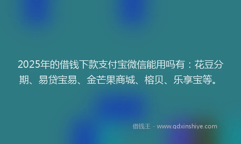 2025年的借钱下款支付宝微信能用吗有：花豆分期、易贷宝易、金芒果商城、榕贝、乐享宝等。
