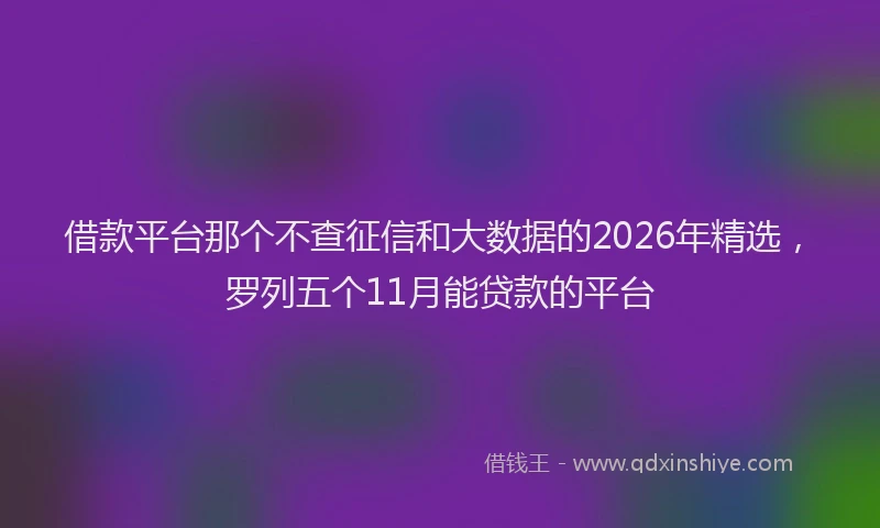 借款平台那个不查征信和大数据的2026年精选，罗列五个11月能贷款的平台