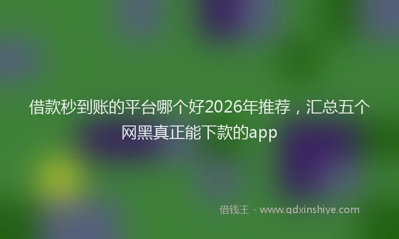 借款秒到账的平台哪个好2026年推荐,汇总五个网黑真正能下款的app