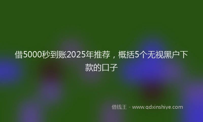 借5000秒到账2025年推荐，概括5个无视黑户下款的口子
