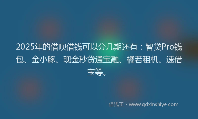 2025年的借呗借钱可以分几期还有:智贷Pro钱包、金小豚、现金秒贷通宝融、橘若租机、速借宝等。